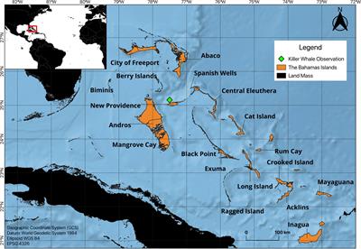 Novel aerial observations of a group of killer whales Orcinus orca in The Bahamas